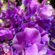 ヒメ日記 2024/12/13 05:02 投稿 しおん 熟女の風俗最終章 西川口店