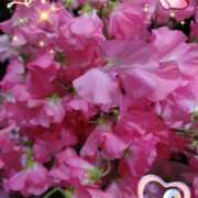 ヒメ日記 2025/01/21 17:22 投稿 しおん 熟女の風俗最終章 西川口店