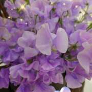 ヒメ日記 2025/02/18 05:57 投稿 しおん 熟女の風俗最終章 西川口店