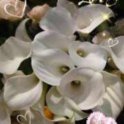 ヒメ日記 2025/07/08 07:12 投稿 しおん 熟女の風俗最終章 西川口店