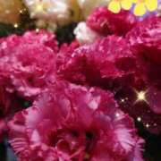 ヒメ日記 2025/07/24 05:55 投稿 しおん 熟女の風俗最終章 西川口店