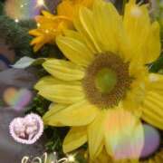 ヒメ日記 2025/07/26 04:42 投稿 しおん 熟女の風俗最終章 西川口店