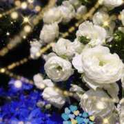 ヒメ日記 2025/07/27 05:52 投稿 しおん 熟女の風俗最終章 西川口店