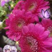 ヒメ日記 2025/07/28 07:34 投稿 しおん 熟女の風俗最終章 西川口店