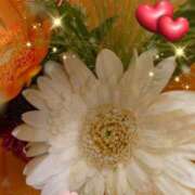 ヒメ日記 2025/09/05 06:22 投稿 しおん 熟女の風俗最終章 西川口店