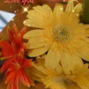 ヒメ日記 2025/09/12 06:22 投稿 しおん 熟女の風俗最終章 西川口店