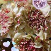 ヒメ日記 2025/11/18 05:27 投稿 しおん 熟女の風俗最終章 西川口店