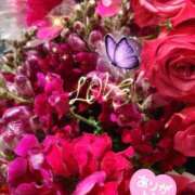 ヒメ日記 2025/11/19 06:02 投稿 しおん 熟女の風俗最終章 西川口店