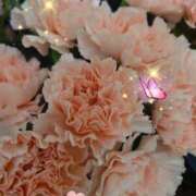 ヒメ日記 2025/11/23 08:02 投稿 しおん 熟女の風俗最終章 西川口店