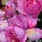 ヒメ日記 2025/12/17 06:32 投稿 しおん 熟女の風俗最終章 西川口店