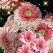 ヒメ日記 2025/12/22 04:32 投稿 しおん 熟女の風俗最終章 西川口店