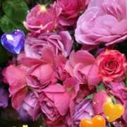 しおん Ｓさま御礼です♡ 熟女の風俗最終章 西川口店