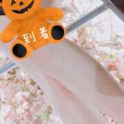 ヒメ日記 2025/11/11 10:15 投稿 せな 名古屋Ｍ性感 ルーフ倶楽部