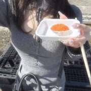 ヒメ日記 2026/03/15 18:16 投稿 ゆいな 変態なんでも鑑定団