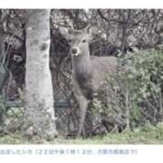 ヒメ日記 2026/03/22 16:21 投稿 りり 快楽玉乱堂