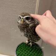 しずく 初体験♡ ビギナーズ和歌山