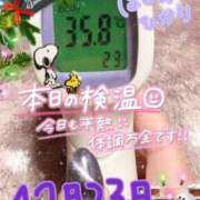 ヒメ日記 2023/12/23 13:09 投稿 星乃 BBW札幌店