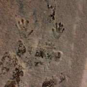 ヒメ日記 2025/12/04 23:45 投稿 星乃 BBW札幌店