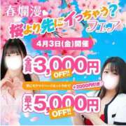 ヒメ日記 2026/04/02 11:12 投稿 白咲【しろさき】 丸妻 西船橋店