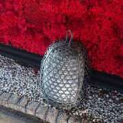 ヒメ日記 2024/12/17 14:45 投稿 遠山 みかげ こあくまな熟女たち 千葉店（KOAKUMAグループ）