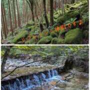 ヒメ日記 2025/08/14 10:19 投稿 りょうこ 熟女家 堺東店