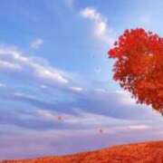 ヒメ日記 2024/12/14 16:57 投稿 麗 TSUBAKI（水戸）