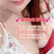 ヒメ日記 2025/03/31 18:25 投稿 夏川 メガフォース