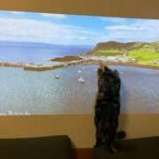 ヒメ日記 2026/02/22 07:51 投稿 あさひ☆完全未経験！最高です♪ 妹系イメージSOAP萌えフードル学園 大宮本校