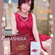 ヒメ日記 2025/03/01 12:51 投稿 倉科 ANECOTE