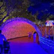 もな 休みだけど・・・・ アネックスジャパン