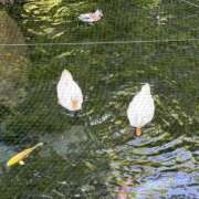 もな 忘れられないように！！ アネックスジャパン