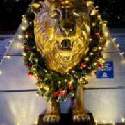 ヒメ日記 2024/12/19 12:53 投稿 アイ Club 妻