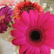 ヒメ日記 2025/02/03 12:34 投稿 アイ Club 妻