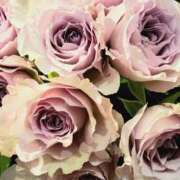 ヒメ日記 2025/03/08 15:19 投稿 アイ Club 妻