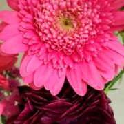 ヒメ日記 2025/04/01 12:58 投稿 アイ Club 妻