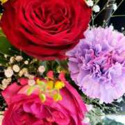 ヒメ日記 2025/04/13 13:19 投稿 アイ Club 妻