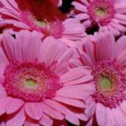 ヒメ日記 2025/04/28 12:33 投稿 アイ Club 妻