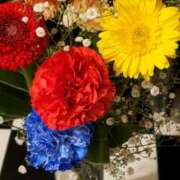 ヒメ日記 2025/05/16 12:31 投稿 アイ Club 妻