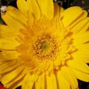 ヒメ日記 2025/05/21 12:44 投稿 アイ Club 妻