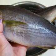 ヒメ日記 2025/06/25 12:40 投稿 アイ Club 妻