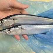 ヒメ日記 2025/08/31 13:17 投稿 アイ Club 妻