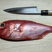 ヒメ日記 2026/02/16 11:51 投稿 アイ Club 妻