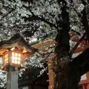 ヒメ日記 2026/03/31 11:58 投稿 アイ Club 妻