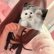 ヒメ日記 2025/04/03 18:16 投稿 のあ マリン千姫