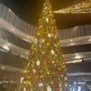 ヒメ日記 2024/12/26 05:46 投稿 みほ 水戸人妻花壇