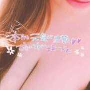 ヒメ日記 2025/03/09 17:48 投稿 こころ 奥様メモリアル