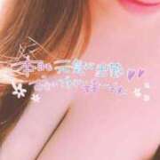 ヒメ日記 2025/03/23 18:12 投稿 こころ 奥様メモリアル