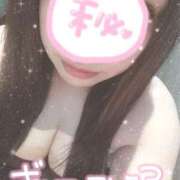 ヒメ日記 2025/03/24 16:03 投稿 こころ 奥様メモリアル