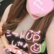 ヒメ日記 2025/05/12 19:18 投稿 こころ 奥様メモリアル