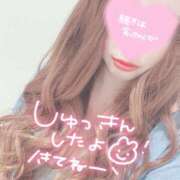 ヒメ日記 2025/09/23 18:06 投稿 こころ 奥様メモリアル